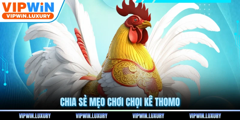 Chia sẻ mẹo chơi chọi kê Thomo