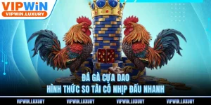 Đá Gà Cựa Dao - Hình Thức So Tài Có Nhịp Đấu Nhanh