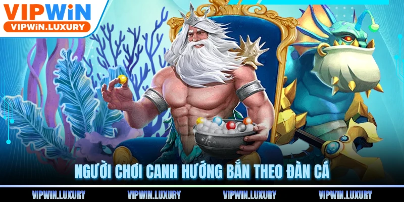Người chơi canh hướng bắn theo đàn cá