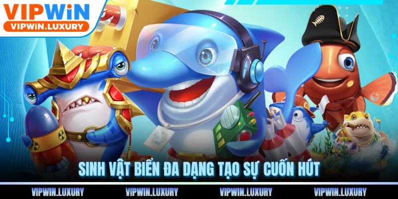 Sinh vật biển đa dạng tạo sự cuốn hút