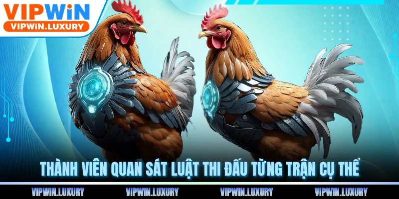 Thành viên quan sát luật thi đấu từng trận cụ thể