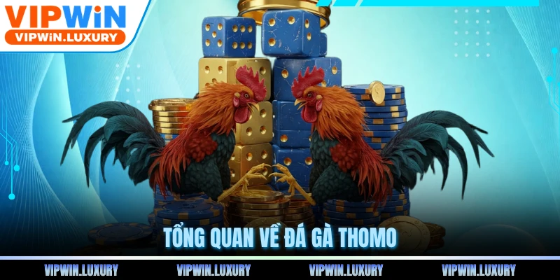 Tổng quan về đá gà Thomo